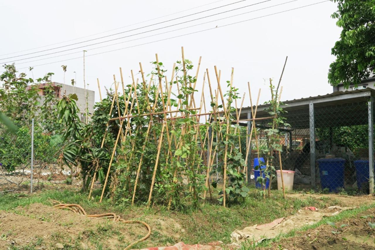 嘉義泊岸居民宿 Lucao Eksteriør bilde